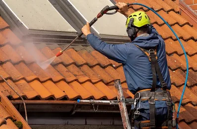 Démoussage et hydrofuge de toiture à Graix